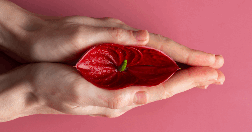 cosmetic labia surgery in Hyderabad