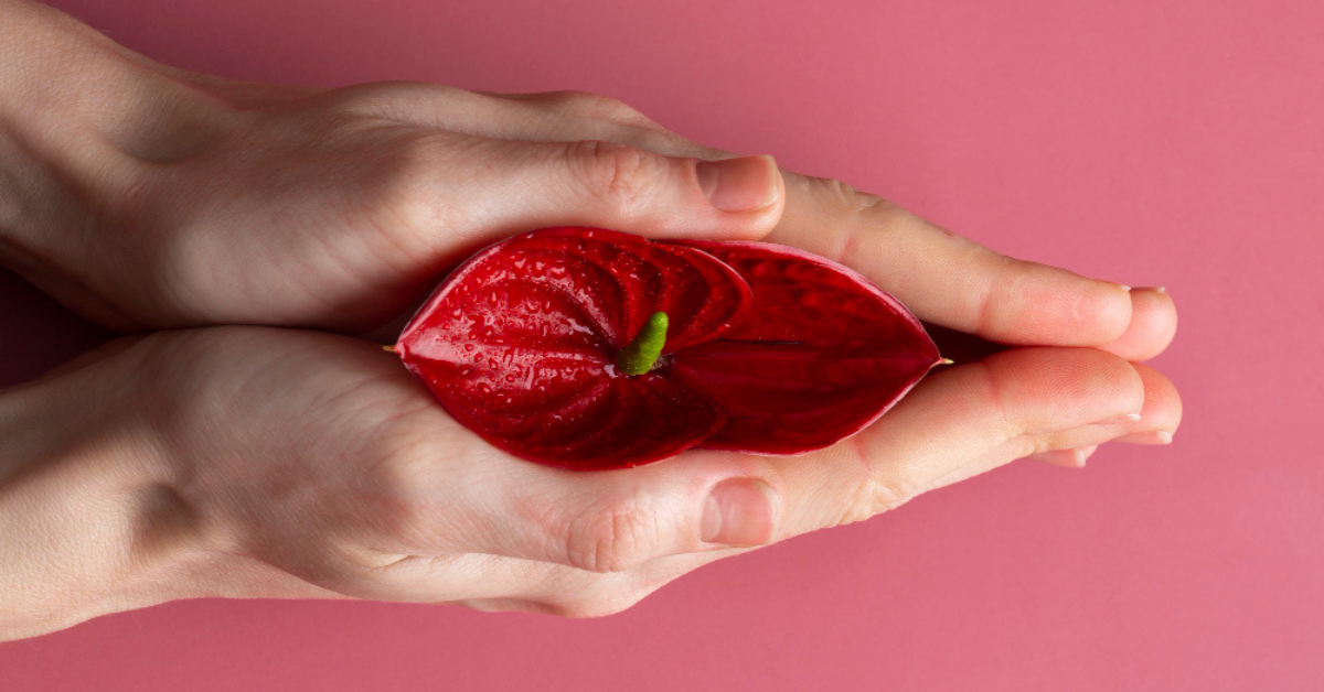 cosmetic labia surgery in Hyderabad