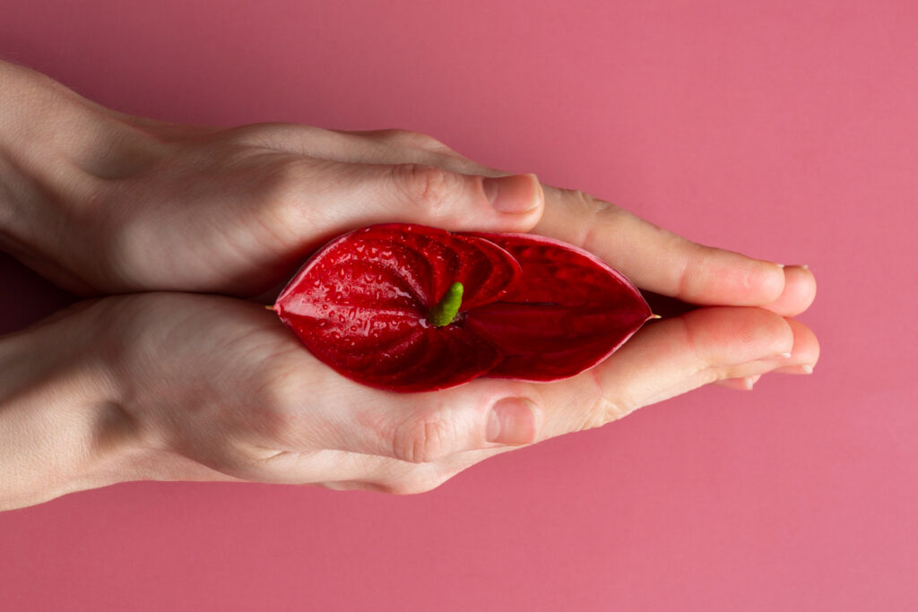 intimate peels in aesthetic gynaecology in Hyderabad