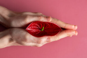 intimate peels in aesthetic gynaecology in Hyderabad