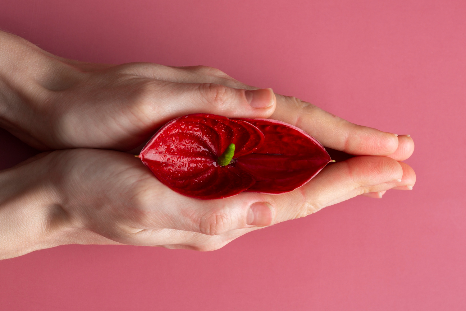 intimate peels in aesthetic gynaecology in Hyderabad